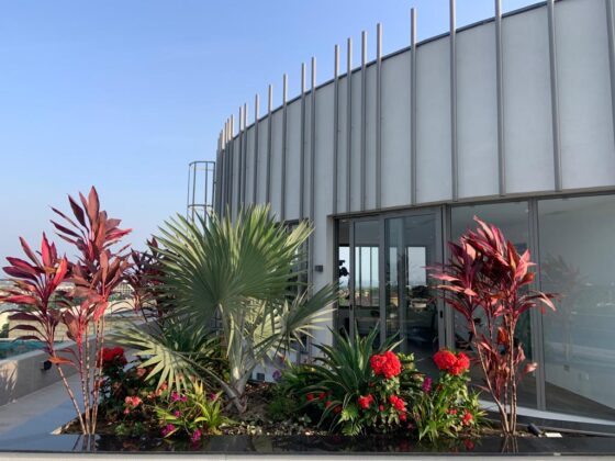 What Every Leader Should Know About Real Estate